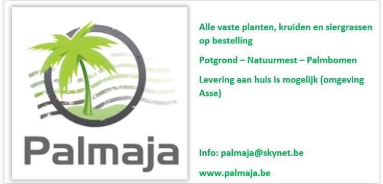 Odoo tekst en afbeelding blok